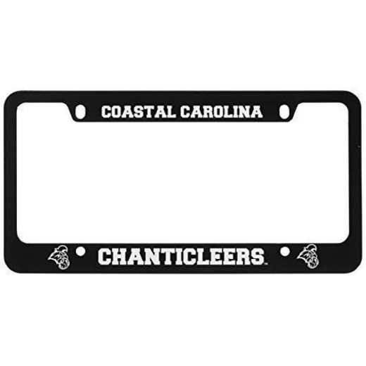 SM-31-BLK-COSTCAR-1-LRG: LXG SM/31 CAR FRAME BLACK, Coastal Carolina